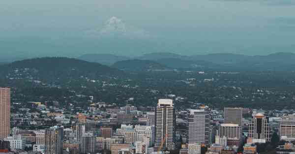 小飞机免费节点